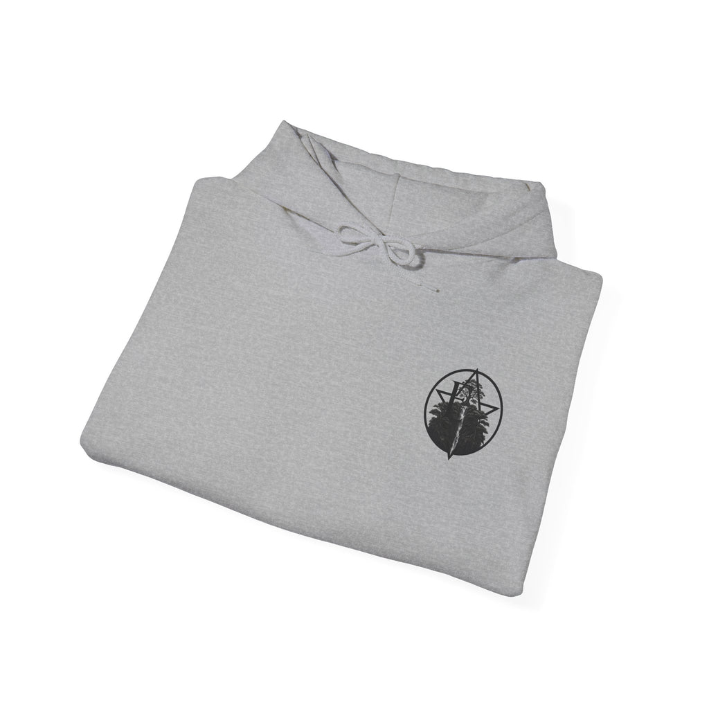 Emerald Cascade Waterfall Hoodie — Nature Graphic Hooded Sweatshirt