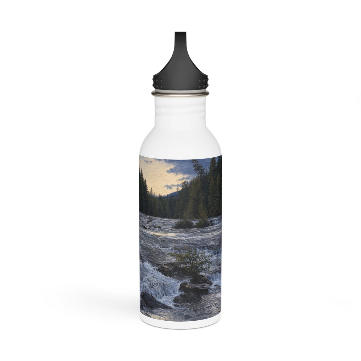 Stainless Steel Water Bottle