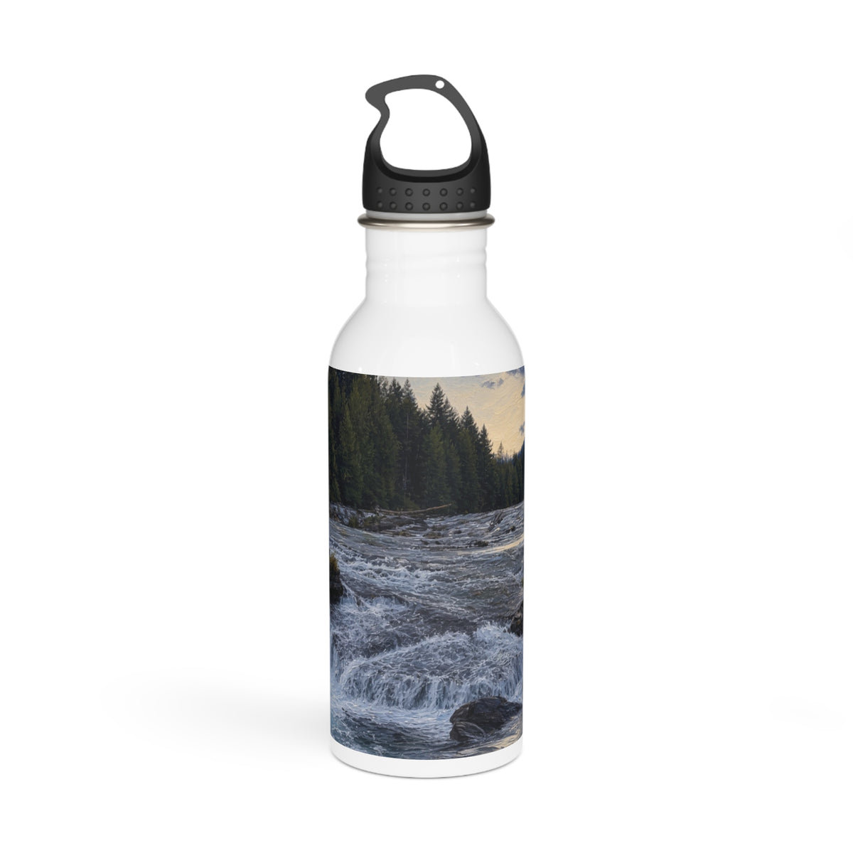 Stainless Steel Water Bottle
